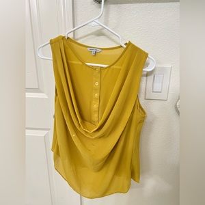 Naked Zebra-Yellow shirt